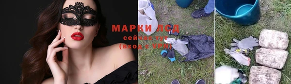амф Верея