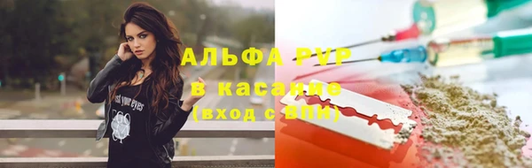 амф Верея