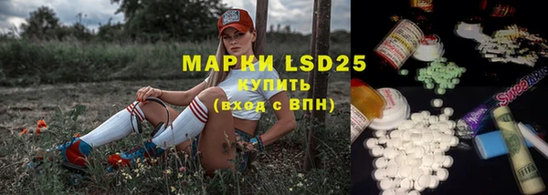 амф Верея