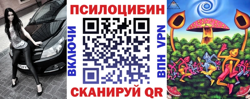 Псилоцибиновые грибы Cubensis Туапсе